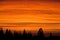 Beautiful silhouettes at sunset orange light