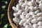 Beautiful Silk Cocoons White closeup