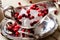 Beautiful silver bowl with ice and red berries. Vintage.