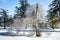 Beautiful silver ice glazed tree after snowstorm rain