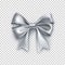 Beautiful silver ribbon bow isolated on white