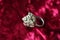 Beautiful silver ring with pyrite gemstones on burgundy fabric