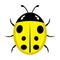 A beautiful simple design of an yellow ladybird