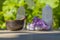 Beautiful Singing Bowl and Crystals Close Up