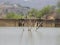 Beautiful Sir M. Visvesvaraya Dam back water near the Ghati Subramanya temple at Dobbaballapura