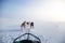 A beautiful six dog teem pulling a sled. Picture taken from sitting in the sled perspective. FUn, healthy winter sport in north.