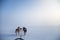 A beautiful six dog teem pulling a sled. Picture taken from sitting in the sled perspective. FUn, healthy winter sport in north.