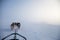 A beautiful six dog teem pulling a sled. Picture taken from sitting in the sled perspective. FUn, healthy winter sport in north.