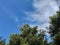 Beautiful  sky with clouds and trees heart melting