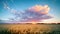 A beautiful sky landscape over a wheat field with a sunrise, created with the help of artificial intelligence