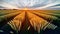 A beautiful sky landscape over a wheat field with a sunrise, created with the help of artificial intelligence