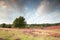 Beautiful sky over hills with beech and heather