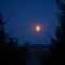 A beautiful skyscape with a moon in the dark skies. Springtime scenery before the dawn with moon.