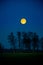 A beautiful skyscape with a moon in the dark skies. Springtime scenery before the dawn with moon.