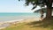 Beautiful slender girl in bikini swinging on wooden swing under tree on beach