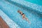 Beautiful slim blonde girl in a black bathing suit lays in the pool
