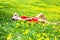 Beautiful slim young female student in a bright red dress cuts in the middle of a green field or meadow in yellow dandelions