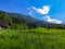 Beautiful Slovenian landscape of meadow and mountains in the Alps