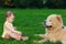 Beautiful small baby girl looking at dog