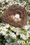 Beautiful small bird eggs resting in a nest tree