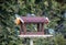 Beautiful small bird great tit on bird feeder