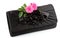 Beautiful small black clutch with fresh pink twig of flower rose