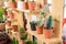 Beautiful small cactus pots in wooden shelf