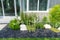 Beautiful small decorate garden with green plants and rock.