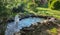 Beautiful small garden pond with a stone beach and a fountain against the background of an evergreen garden. In the pond with a st