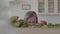 Beautiful small girl looking at the table with tomatoes, cucchini, greens, onion. Kid taking a tomato and run