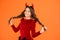 Beautiful small imp. Girl red horns celebrate Halloween. Carnival concept. Small child with imp style accessory