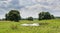 Beautiful small lake located near by trees under cloudy sky