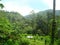 A beautiful small tea estate in the middle of a rustic jungle.