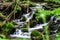 Beautiful small waterfall in Alsace forest