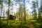 A beautiful small wooden building in the middle of Finnish forest