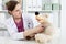 Beautiful smiling female doctor in white coat examine teddy bear