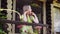 Beautiful smiling teen girl standing on balcony of wooden cottage