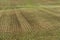 Beautiful smooth rows of plowed agricultural field. plowed field before sowing crops, barley, rye, wheat