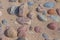 Beautiful smooth sea stones in the sands of the beach.