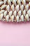 Beautiful smooth seashells on pink backgroundamily planning