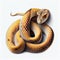 Beautiful Snake on White Background for Posters and Web Design.