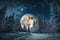 Beautiful snow-covered forest at night, fir trees, pines, it\\\'s snowing. Mountains and the moon.