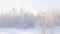 Beautiful snow-covered forest is visible from the window of a traveling train.