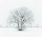 Beautiful snow-covered tree in the middle of the field completely covered with snow