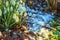 Beautiful snowdrops on bokeh background in sunny spring forest under sunbeams. Easter picture, first spring flowers