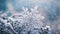 Beautiful snowflake macro photography detail