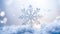 Beautiful snowflake photography detail freeze season snow christmas weather frost decorative