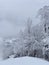 Beautiful snowing day at the Stowe Mountain Ski resort ski trails