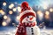 Beautiful snowman on a blurred background