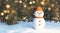 beautiful snowman with bokeh background